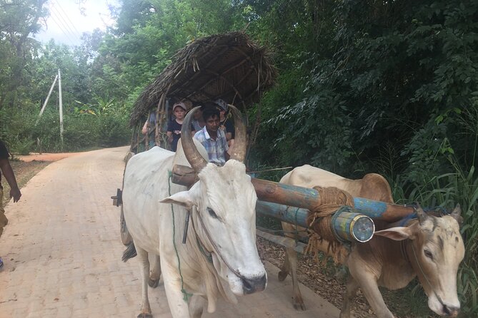 Sigiriya Day Trip with Experts - What the $60 price really covers