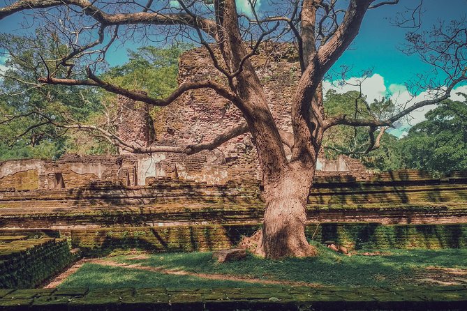 Sigiriya, Polonnaruwa & Dambulla "Trilogy" Day Tour from Colombo - Who will enjoy this tour most