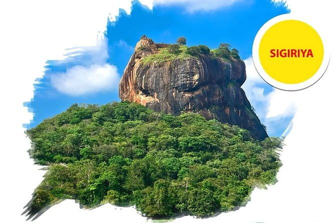 Sigiriya Rock and Dambulla Cave Temple all inclusive Private Day Trip - How the timing shapes your day