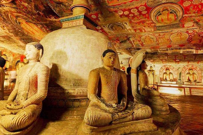 Sigiriya Rock and Dambulla Cave Temples from Negombo (All inclusive day tour) - Who will enjoy this private Sri Lanka tour