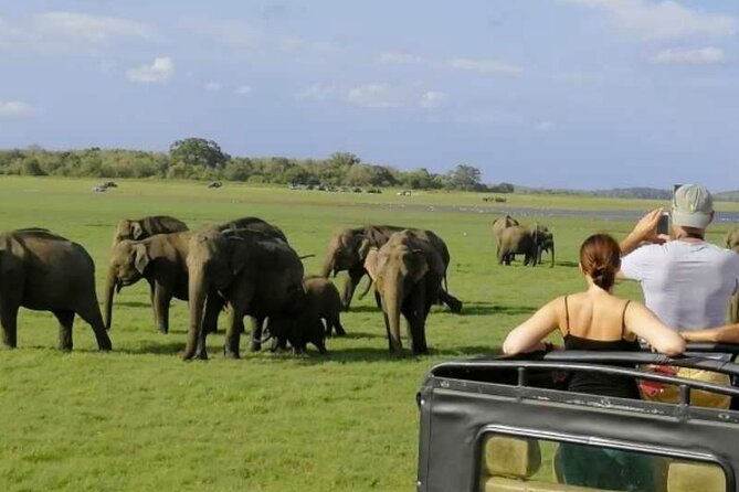 Sigiriya Rock & Cave Temple with Jeep Safari Private Day Trip - Is $210 Per Person Good Value?