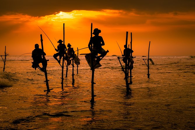 Southern Sri Lanka Sightseeing Day Trip From Colombo & Negombo - A long southbound day from Colombo or Negombo