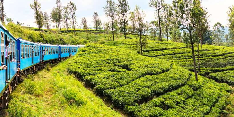 Sri Lanka: 2-Day wildlife tour; rainforest and National park - The overnight stop and a detail to confirm