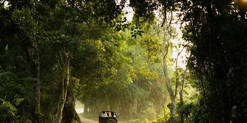 Sri Lanka: 2-Day wildlife tour; rainforest and National park - Tea gardens, Nuwara Eliya, and Gregory Lake