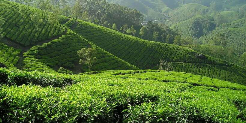 Sri Lanka: 2-Day wildlife tour; rainforest and National park - What the $350 price really covers