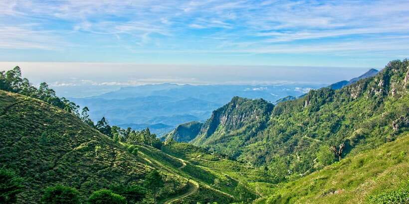 Sri Lanka: 2-Day wildlife tour; rainforest and National park - The driver can shape the whole experience