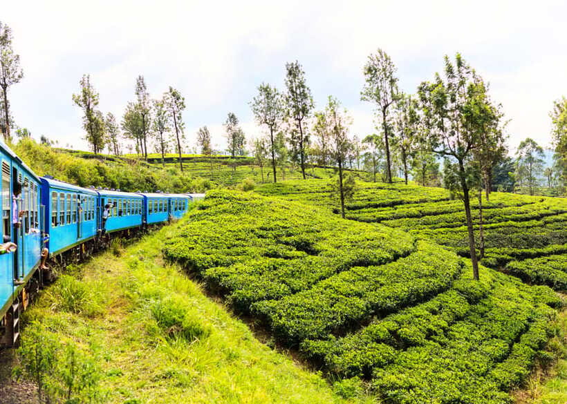 Sri Lanka 5-Day Private Country Side Tour Car, Hotels, Food - A five-day route from temples to the southern coast