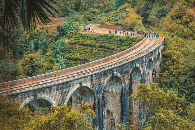 Sri Lanka 5 Day tour Best Nature and Culture include top hotels - A fast route through Sri Lanka’s cultural heart