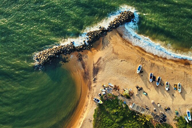 Sri Lanka 5 Day tour Best Nature and Culture include top hotels - Day two: sunrise from Pidurangala and elephants in the park