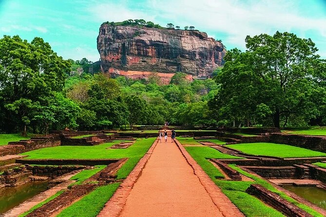 Sri Lanka Customize Multiple day tour packege - Day 6: Yala safari and a night in Mirissa