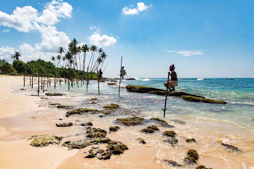 Sri Lanka Green Bless- 2-day Private Trip To Enjoy Nature - The big idea: three habitats in two days