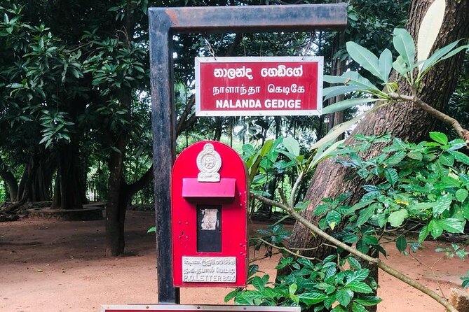 Sri Lanka in 06 Days - Day 2: Cave temples, village life, and Minneriya elephants