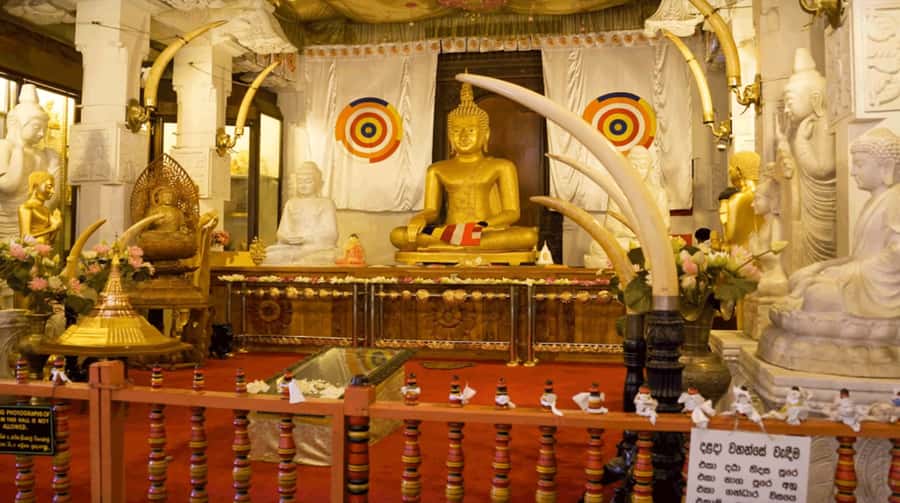 Sri Lanka Private 2-day Tour:Train Trip, Kandy, Nuwara Eliya - Key points before you book