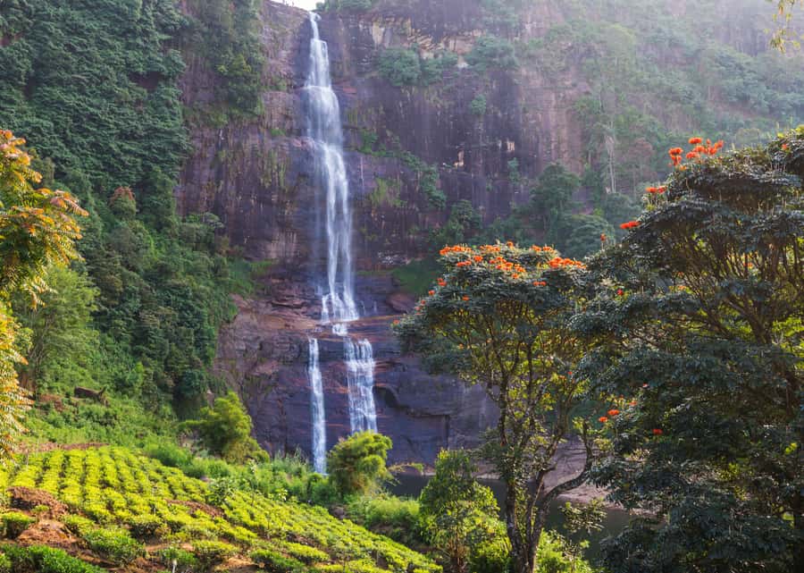 Sri Lanka Private 2-day Tour:Train Trip, Kandy, Nuwara Eliya - Why the train ride makes this two-day tour worthwhile