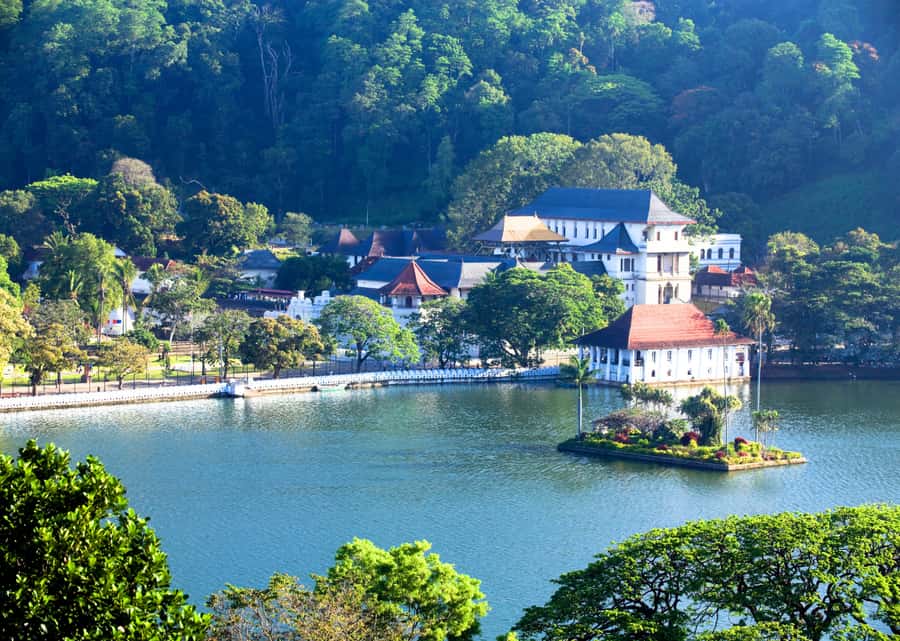 Sri Lanka Private 2-day Tour:Train Trip, Kandy, Nuwara Eliya - Peradeniya Botanical Garden: allow time for the scale