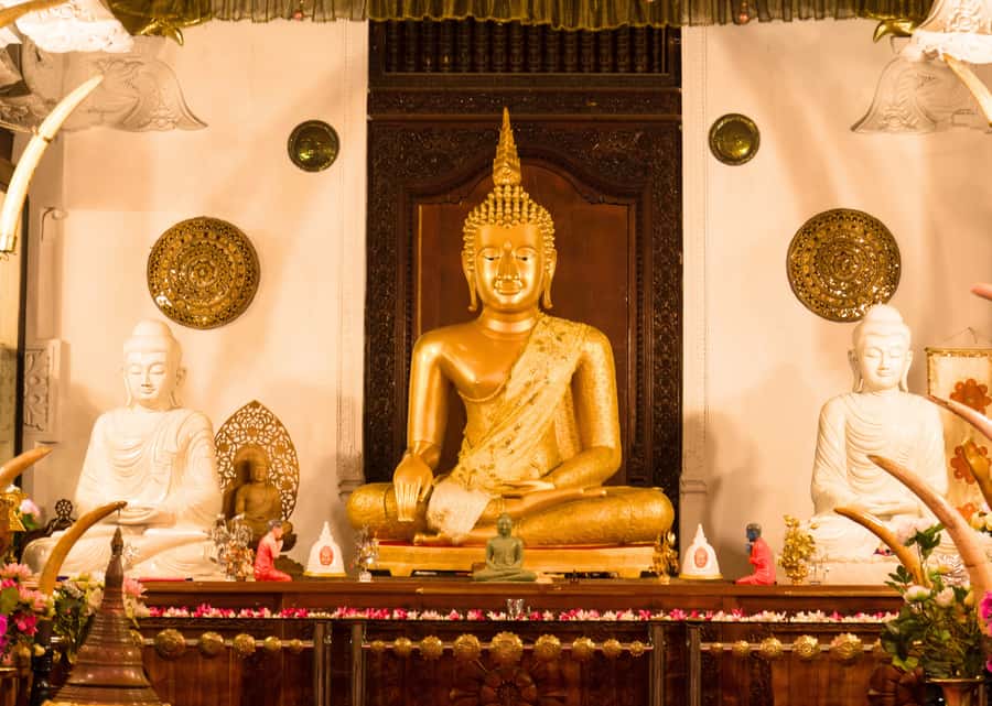 Sri Lanka Private 2-day Tour:Train Trip, Kandy, Nuwara Eliya - Who will enjoy this trip most
