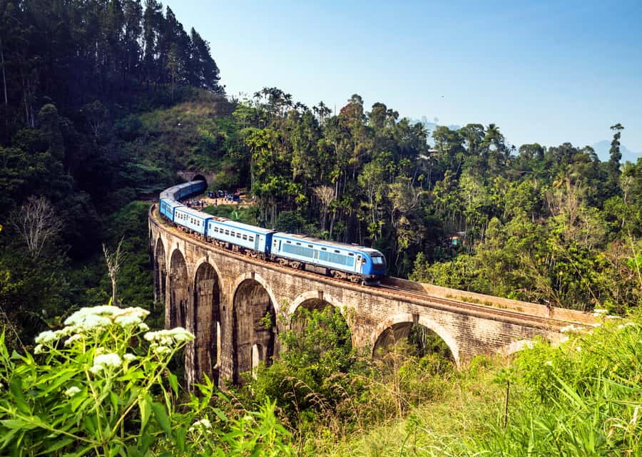 Sri Lanka Private 2-day Tour:Train Trip, Kandy, Nuwara Eliya - Should you book it?