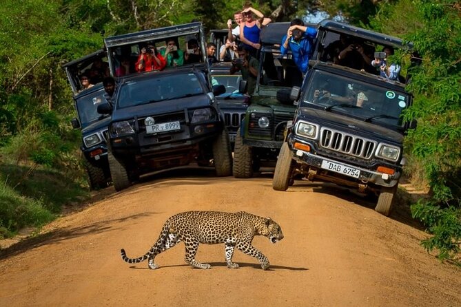 Sri Lanka Private 8-Day Guided Tour with Pickup from Colombo - The airport transfer on day eight