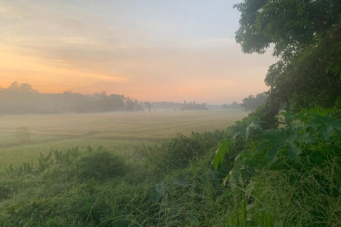 Sri Lanka - Private Ratnapura Gem Tour with Gem and jewelry Expert - Key points at a glance
