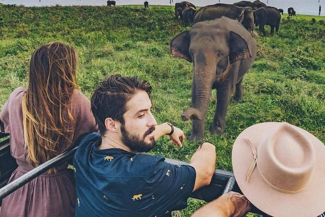 Sri Lanka private tour package 9 night 10 Day with driver+vehicle+accommodations - Day 3: Sigiriya Rock and Polonnaruwa