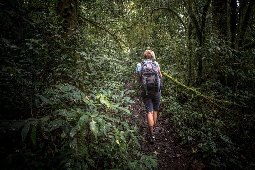 Sri Lanka: Sinharaja rainforest tour from Colombo, Bentota - Why Sinharaja is worth a full day
