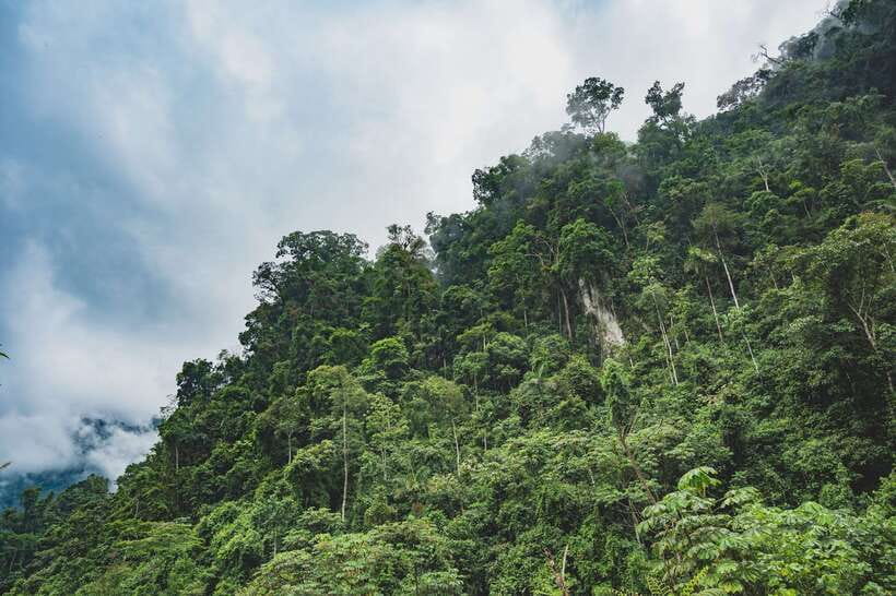 Sri Lanka: Sinharaja rainforest tour from Colombo, Bentota - What to wear and pack for the forest