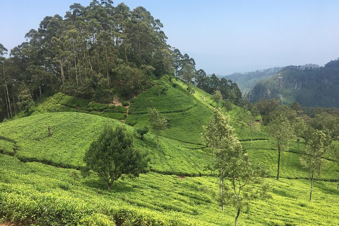 Sri Lanka Tour in 8 Days - Day 6: Rawana Ella Waterfall and Yala National Park