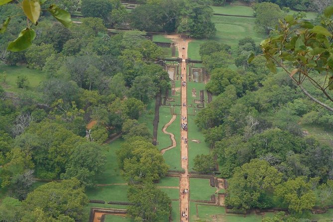 Sri Lanka Tour in 8 Days - Day 8: Whale watching, Galle Fort, and your final transfer