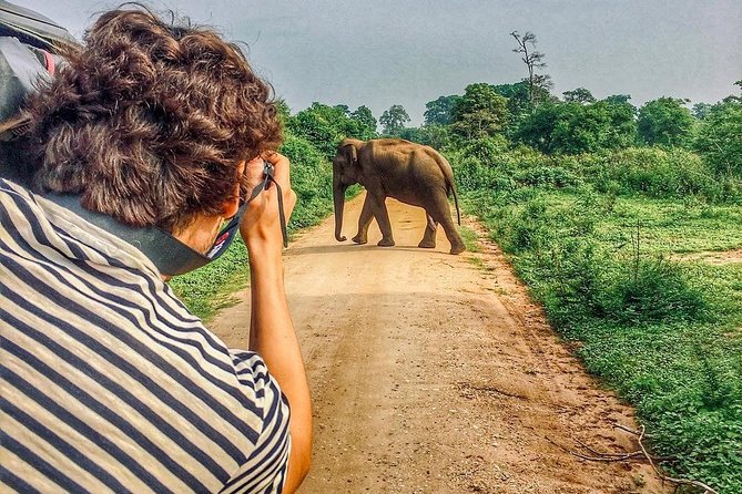 Sri Lanka tour itinerary . 6N/7D with driver, vehicle and H/B accommodations - Day 2: Polonnaruwa and Sri Lanka’s medieval capital