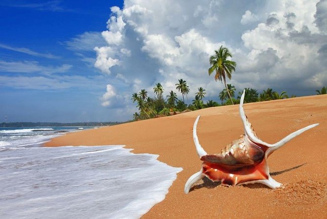 Sri Lanka tour itinerary . 6N/7D with driver, vehicle and H/B accommodations - Day 5: The famous Kandy to Ella rail journey