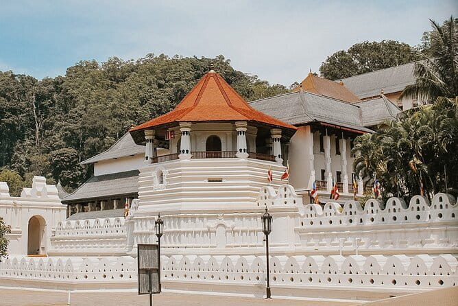 Sri Lanka Tour Plan - 14 Days - Private Transport And Hotel - Day 8: Ella’s best easy walk and a paid thrill