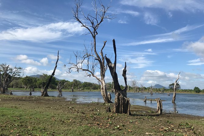 Sri Lanka tours 12-Day wildlife Tour with driver,Car or Van and accommodations - Day 4: Climbing Sigiriya before the heat