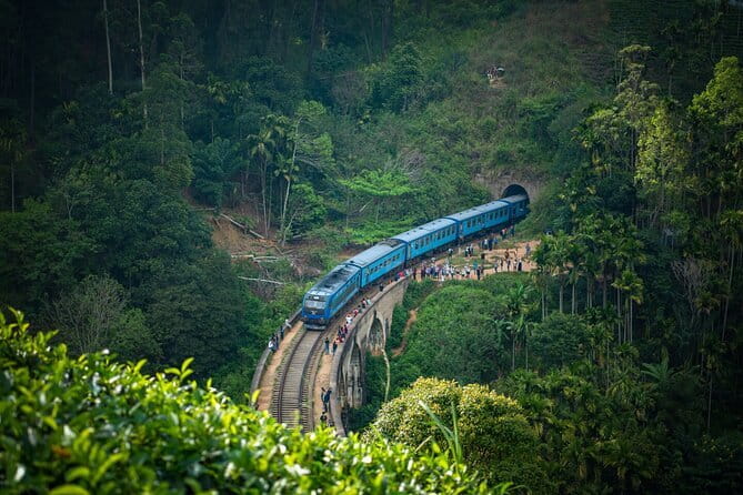 Tailor-made Multi-day Private Tour Packages in Sri Lanka - Key points to know before booking