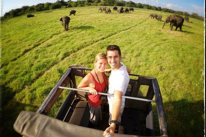 Ten Days Scenic Sri Lanka - Why this route works for a first Sri Lanka trip