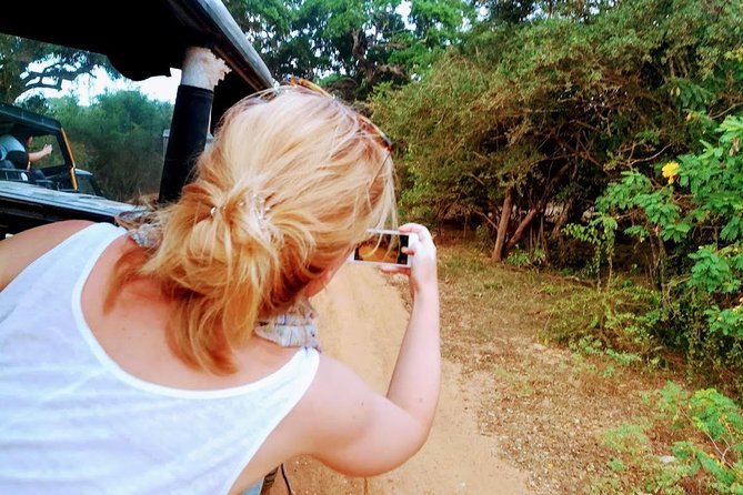 Tour Packages in Sri Lanka - Most Popular Round Tour - All in One Tour - Yala safari, Mirissa, and the south coast
