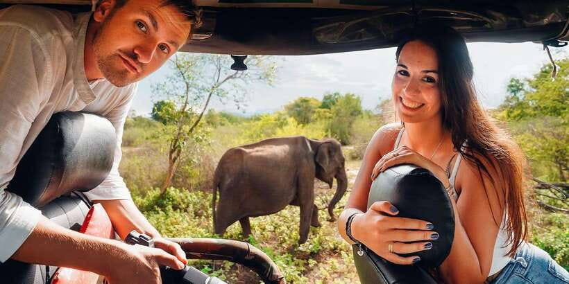 Udawalawa National Park: All-Inclusive Private Day Tour - Why Udawalawe works so well for a one-day safari
