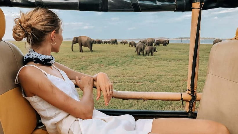 UDAWALAWA SAFARI TOUR from HAMBANTOTA PORT (Shore Excursion) - What to pack and what to confirm