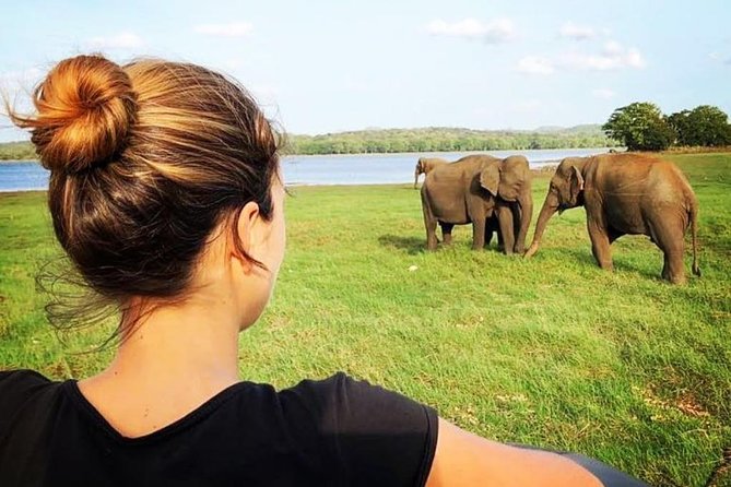 Udawalawe National Park Safari With Transfers From Colombo - Why this Colombo to Udawalawe trip makes sense
