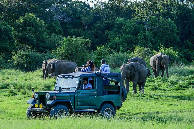 Udawalawe Safari Day Trip from South Region & Transfer to Ella - Why Udawalawe makes sense from Sri Lanka’s south coast