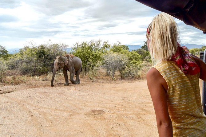 Udawalawe Safari Day Trip from South Region & Transfer to Ella - From your hotel or port to the park