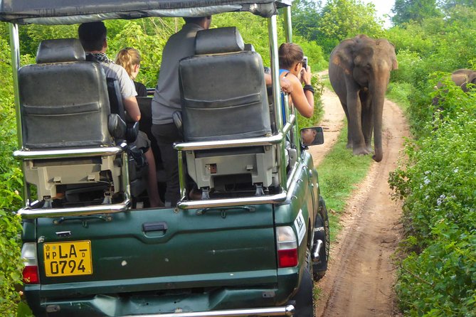 Udawalawe Safari Day Trip from South Region & Transfer to Ella - What the private format is really worth