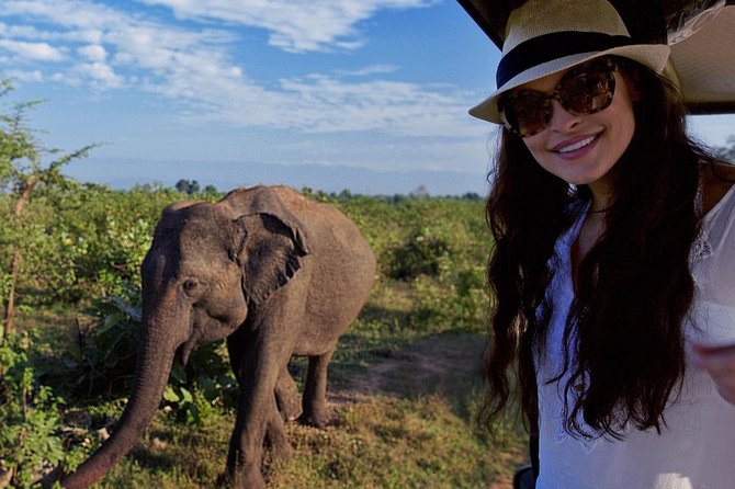 Udawalawe Safari Day Trip from South Region & Transfer to Ella - Is the transfer to Ella useful?