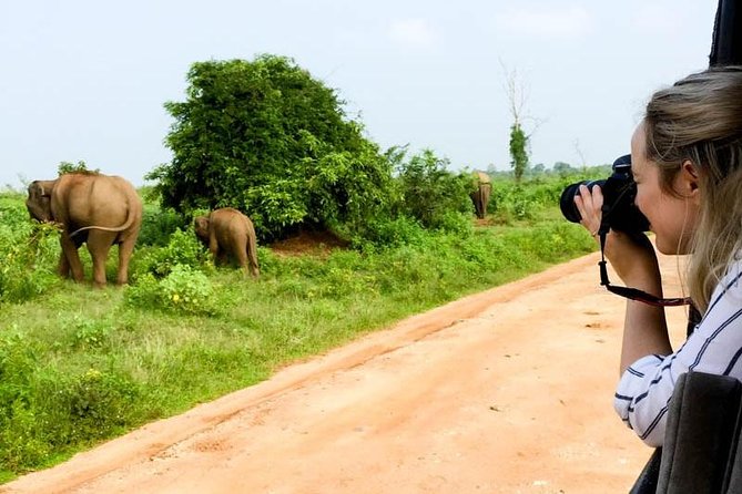 Udawalawe Safari Day Trip from South Region & Transfer to Ella - Booking, weather, and cancellation details
