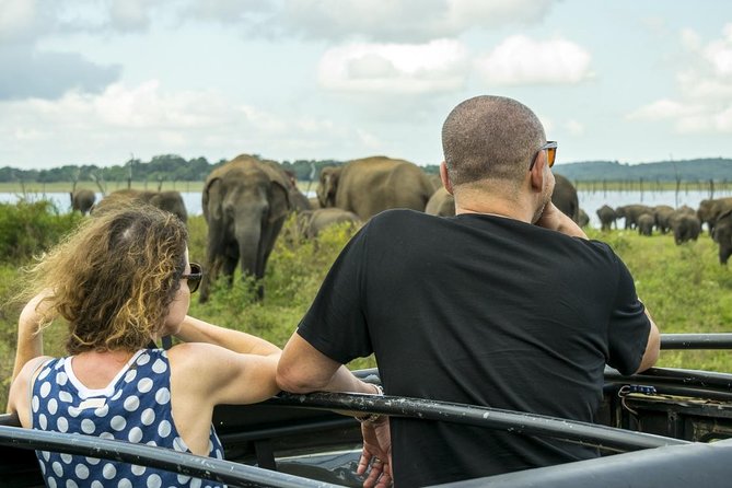 Udawalawe Safari Day Trip from South Region & Transfer to Ella - The Elephant Transit Home in 30 minutes