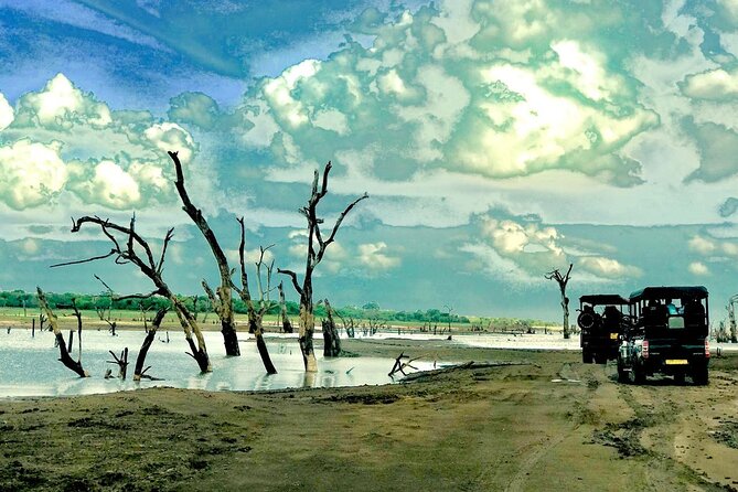 Ultimate 8-Day Sri Lanka Adventure: Private Guided Tour - Why this route works for a first Sri Lanka trip