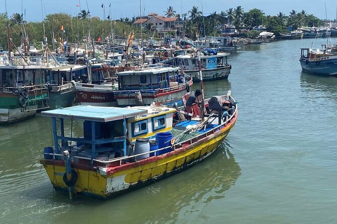 Visit Negombo by Scooty - All Inclusive - Why a scooty is a smart way to see Negombo