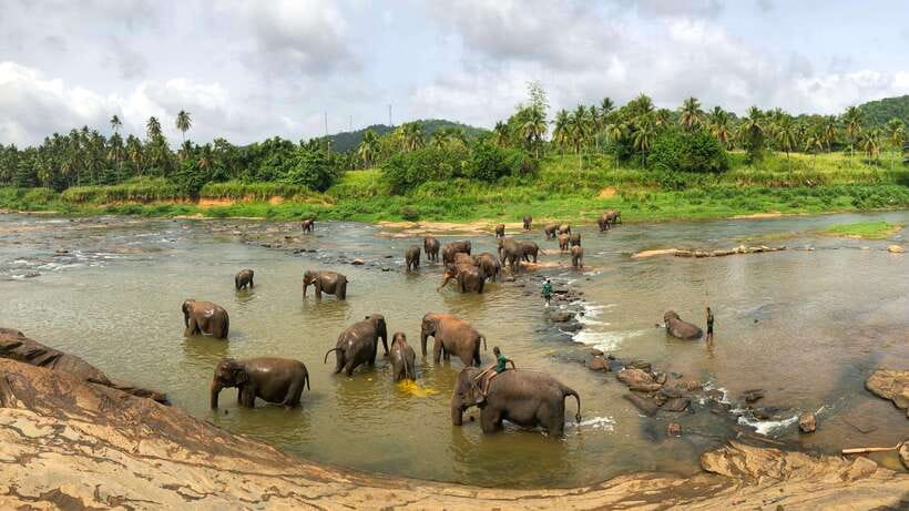 Visit sri Lanka 7 Days Round Trip - Day 3: Tea country and the Nanuoya to Ella train