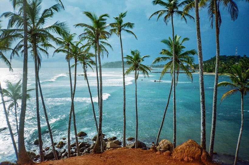 Visit sri Lanka 7 Days Round Trip - Day 5: Yala National Park and the south coast
