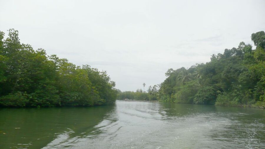 West coast Beach, River Mangroves lagoon, Wildlife boat Tour - The spice and herbal garden is the most divisive stop