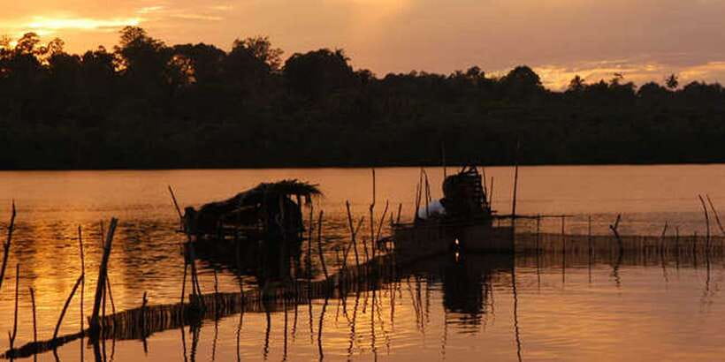 West coast Beach, River Mangroves lagoon, Wildlife boat Tour - Is $90 good value?